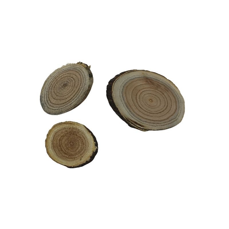 BASE TRONCO DE 10CM HASTA13CM