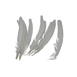 PLUMA PARA PENACHO BLANCO