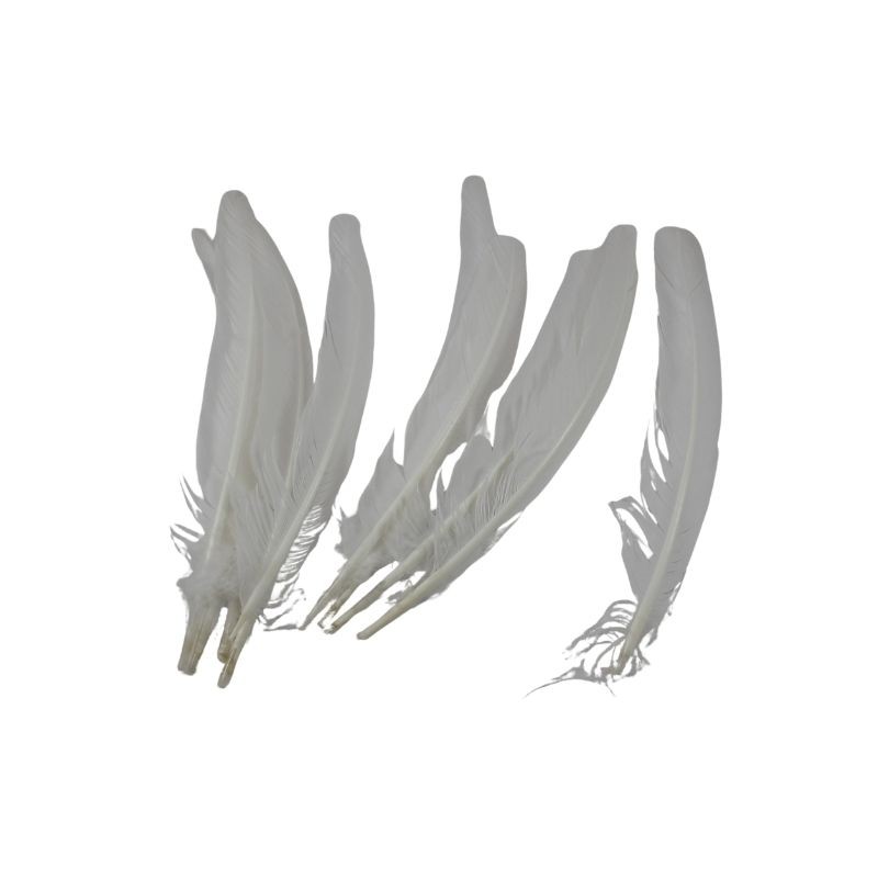 PLUMA PARA PENACHO BLANCO