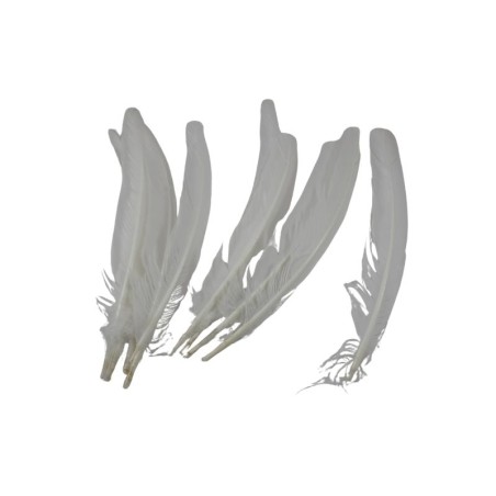 PLUMA PARA PENACHO BLANCO