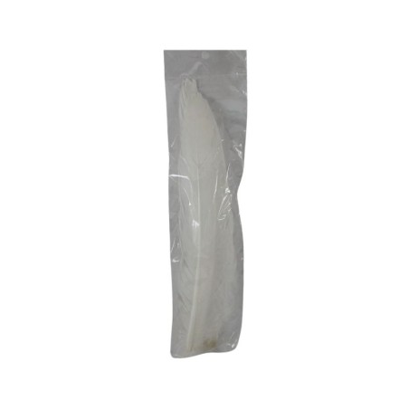 PLUMA PARA PENACHO BLANCO
