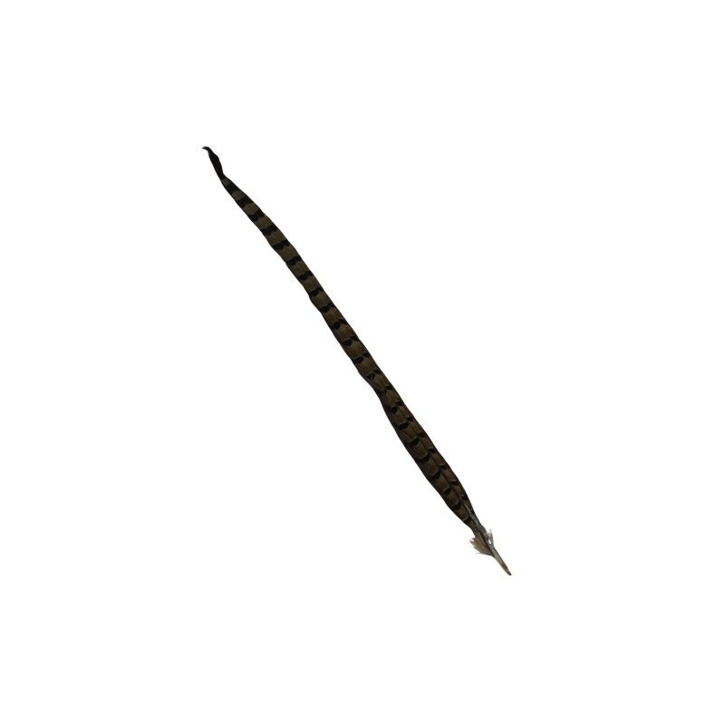 PLUMA FAISAN 18-20
