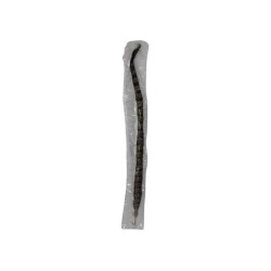 PLUMA FAISAN 18-20