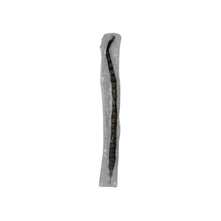PLUMA FAISAN 18-20