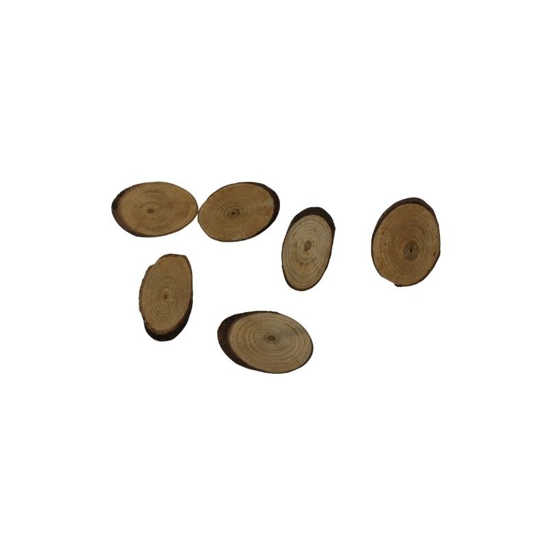 BASES DE TRONCO 5.5CM