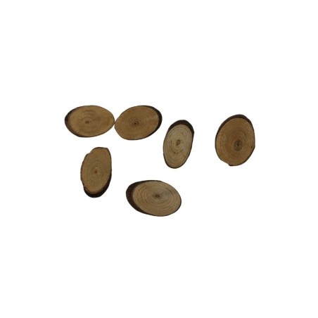 BASES DE TRONCO 5.5CM