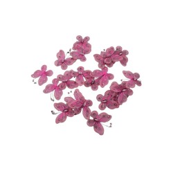 MARIPOSA 2 ROSA