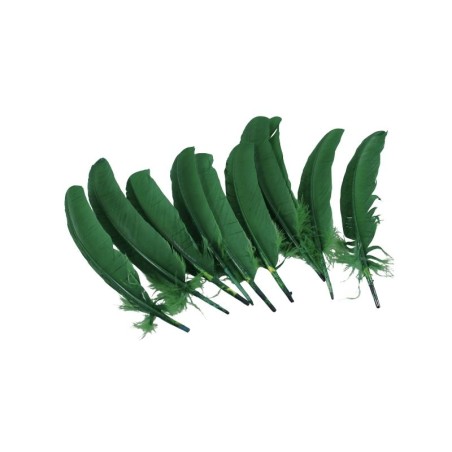 PLUMA PARA PENACHO VERDE