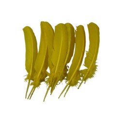 PLUMA PARA PENACHO AMARILLO