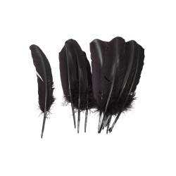 PLUMA PARA PENACHO NEGRO