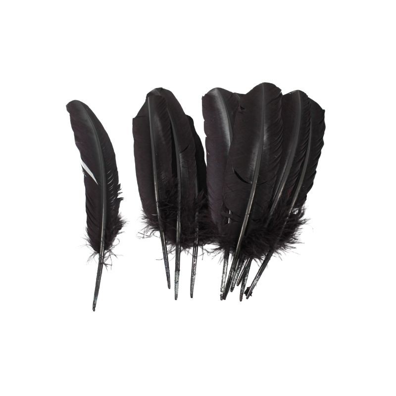PLUMA PARA PENACHO NEGRO