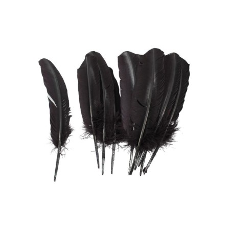 PLUMA PARA PENACHO NEGRO
