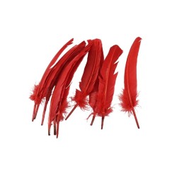 PLUMA PARA PENACHO ROJO
