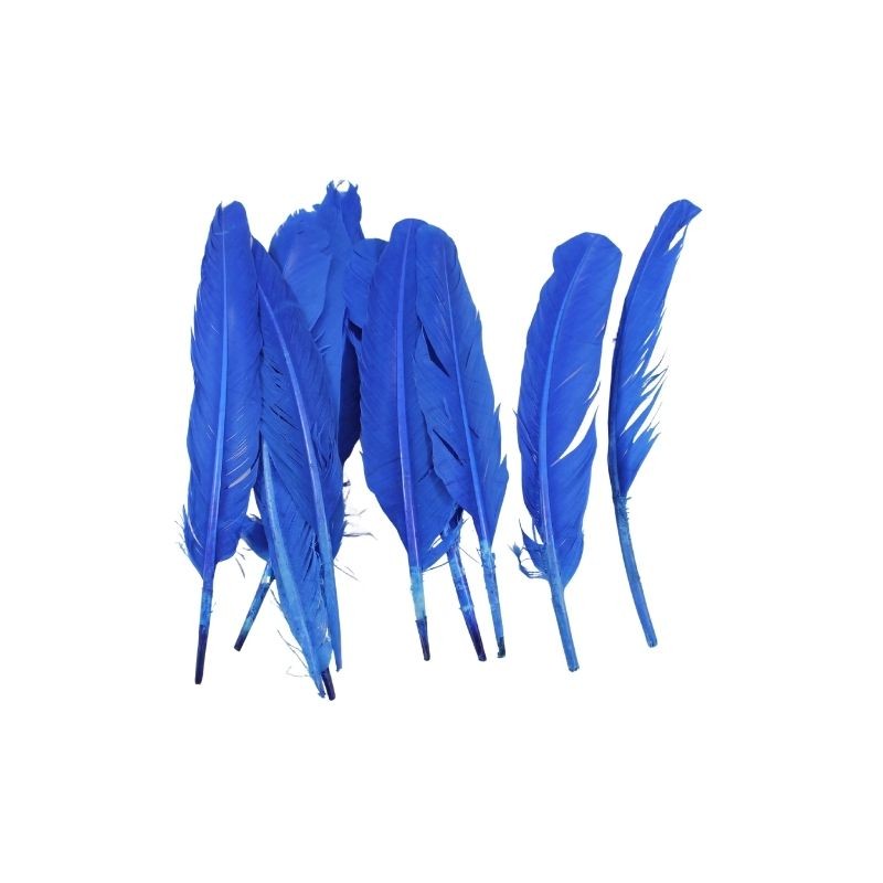 PLUMA PARA PENACHO AZUL REY