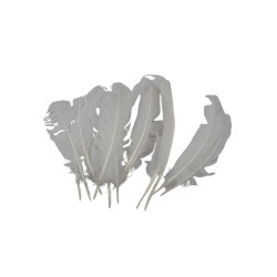PLUMA DE PAVO BLANCA