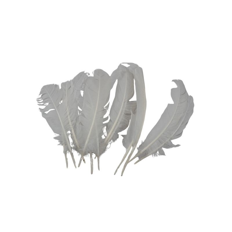 PLUMA DE PAVO BLANCA