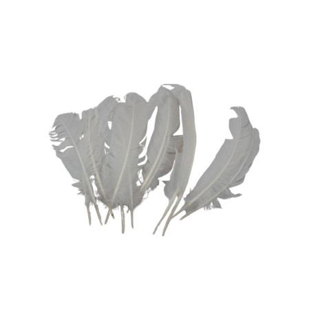 PLUMA DE PAVO BLANCA
