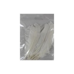 PLUMA DE PAVO BLANCA