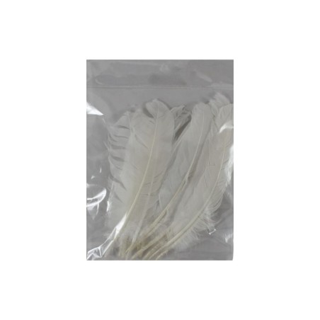 PLUMA DE PAVO BLANCA