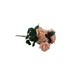 ROSAL ABIERTO BLUSH X9