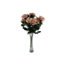 ROSAL ABIERTO BLUSH X9