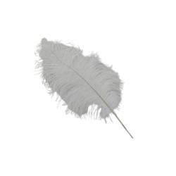PLUMA DE AVESTRUZ BLANCA