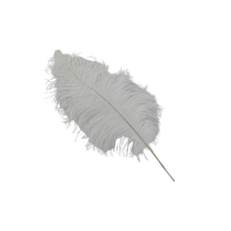 PLUMA DE AVESTRUZ BLANCA