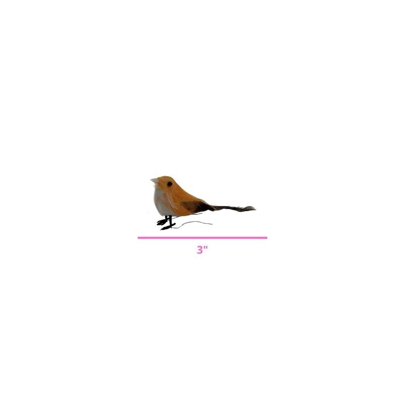 PAJARO 3 SURTIDO