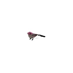 PAJARO 3 SURTIDO