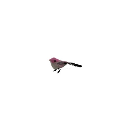 PAJARO 3 SURTIDO