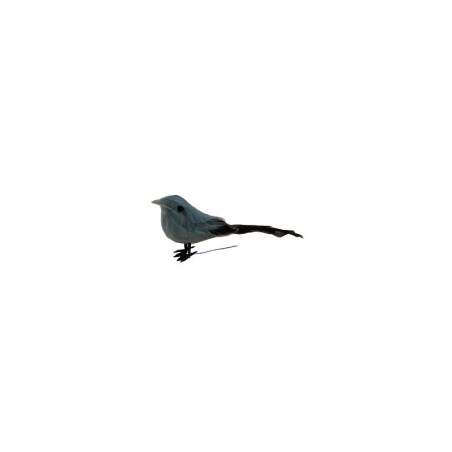 PAJARO 3 SURTIDO